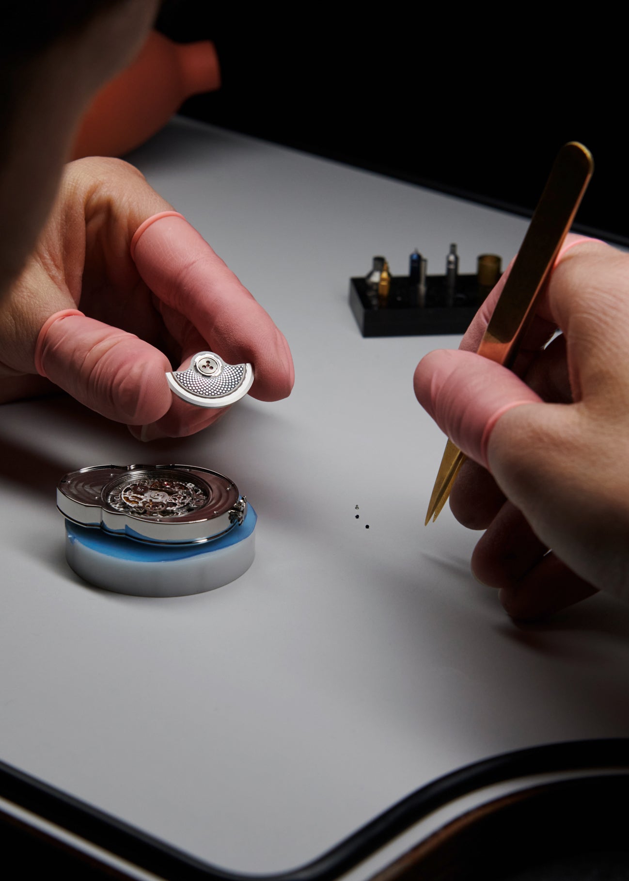 FK: SKULL Collection (Fig. 1)