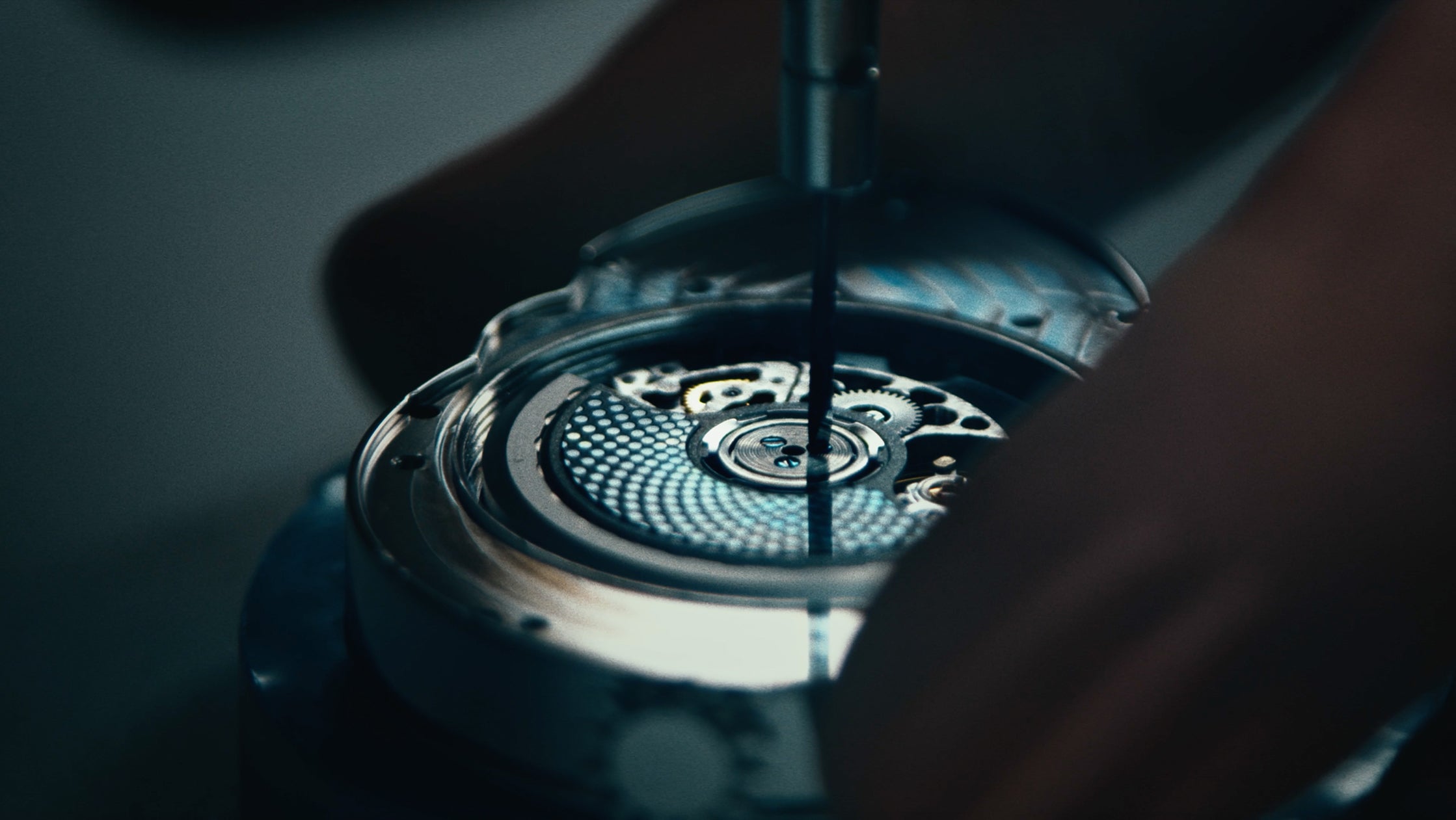 FK: FK: TASAKI Collaboration (Thumbnail)