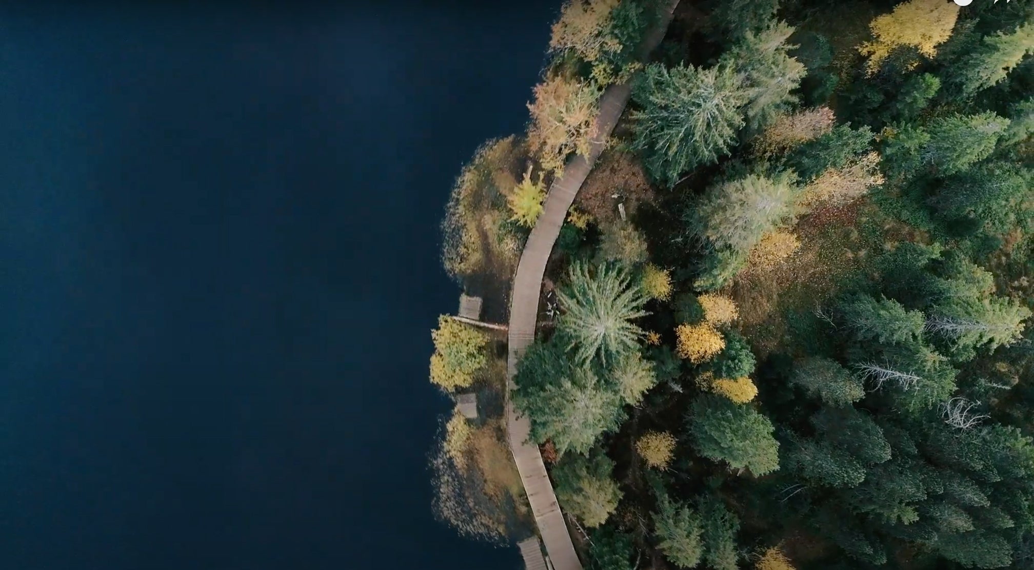 FK: Environmental Responsibility (Thumbnail)