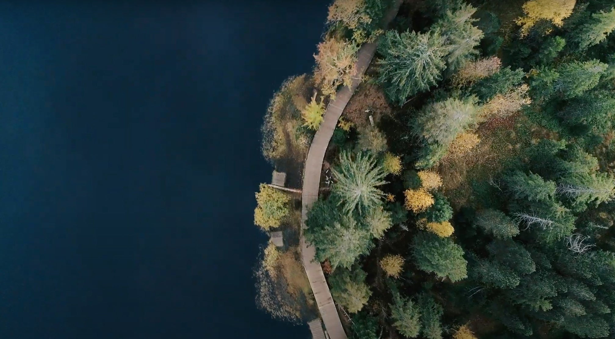 FK: Environmental Responsibility (Fig. 1)