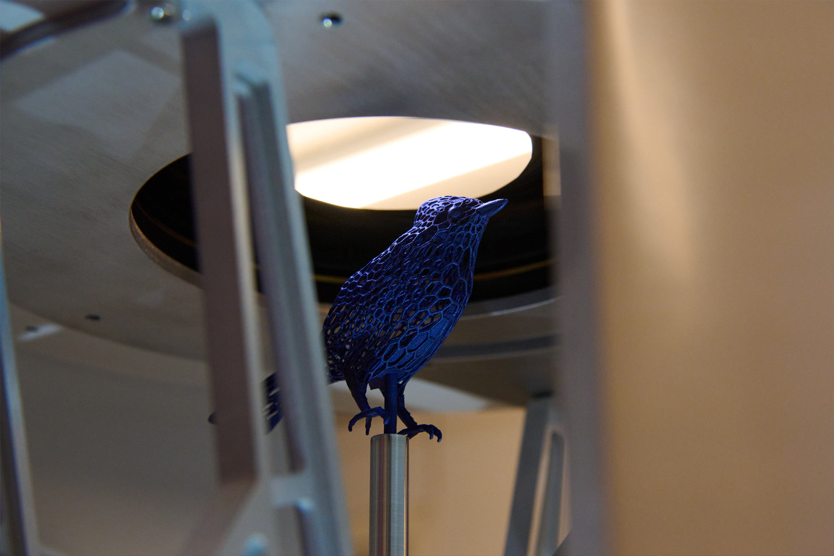 FK: Specialist Network (Fig. 3)