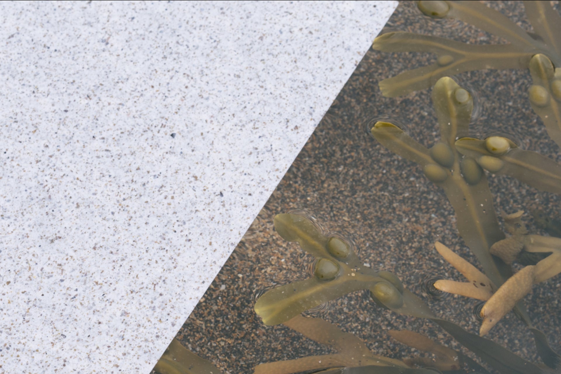 FK: Environmental Responsibility (Fig. 1)